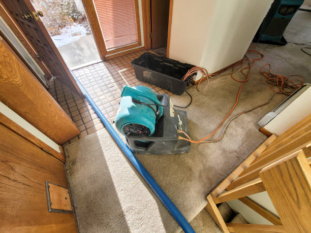 Best Wood Floor Water Damage Restoration in Adamsville, TN